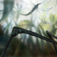 Image for article titled Intense graphic novel about insects is like Dr. Seuss meets Darwin
